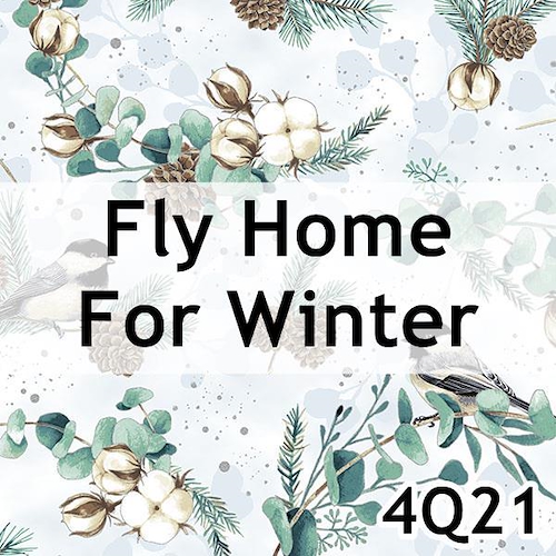 Fly Home For Winter